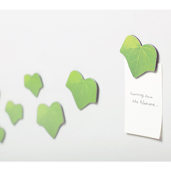 Appree Leaf Magnet Set - Ivy