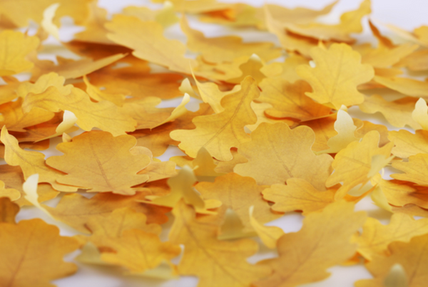 Appree Leaf Sticky Memo Notes - Yellow Oak