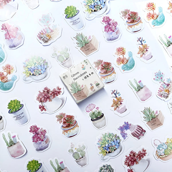 Green Succulent Plant Stickers