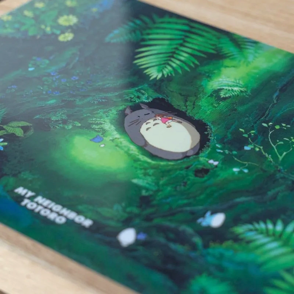 Studio Ghibli A4 Folder - Sleeping Totoro
