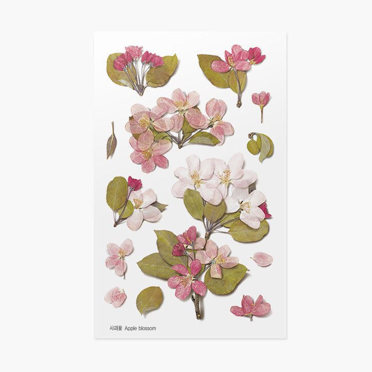Appree Pressed Flower Stickers - Apple Blossom