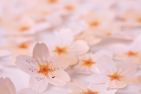 Appree Leaf Sticky Memo Notes - White Cherry Blossom