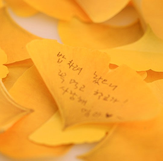 Appree Leaf Sticky Memo Notes - Yellow Ginkgo