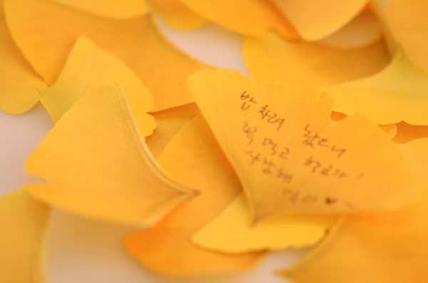Appree Leaf Sticky Memo Notes - Yellow Ginkgo