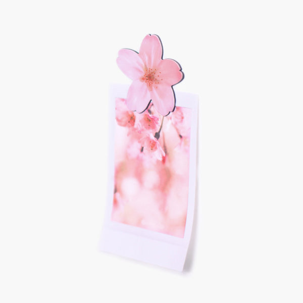 Appree Leaf Magnet Set - Cherry Blossom