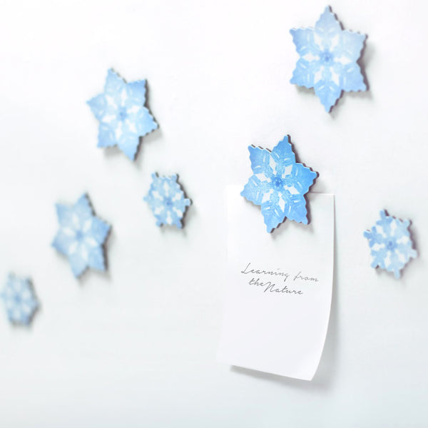 Appree Leaf Magnet Set - Snow Flake