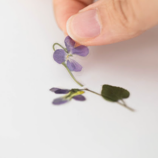 Appree Pressed Flower Stickers - Manchurian Violet