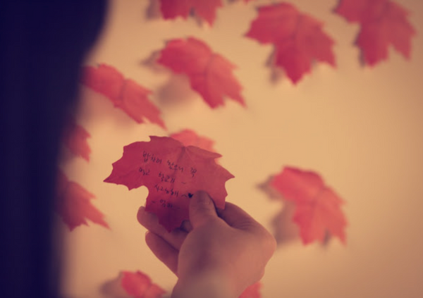 Appree Leaf Sticky Memo Notes - Red Maple