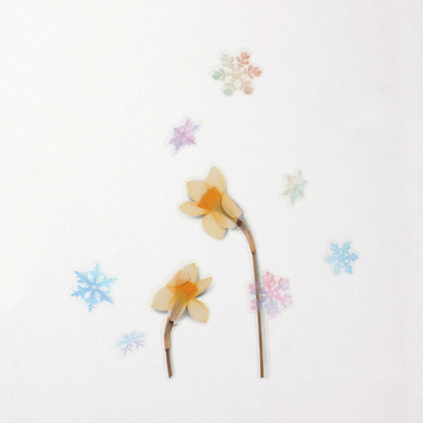 Appree Nature Stickers - Snow