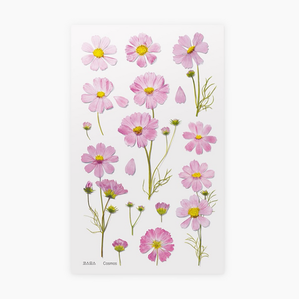 Appree Pressed Flower Stickers - Cosmos