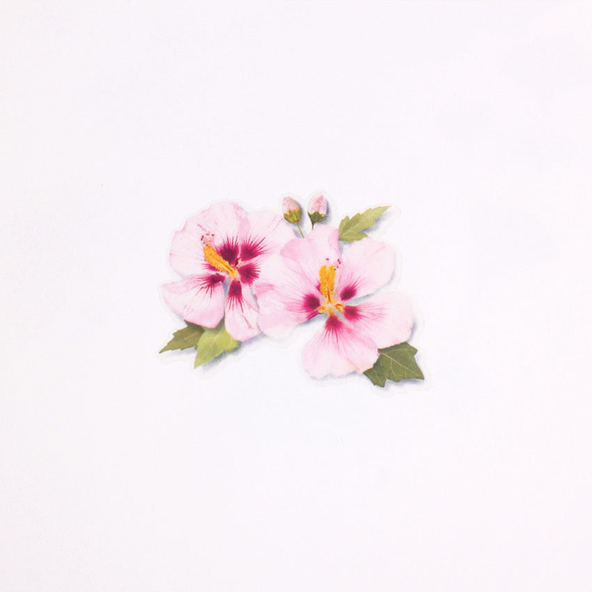 Appree Pressed Flower Sticker - Apple Blossom