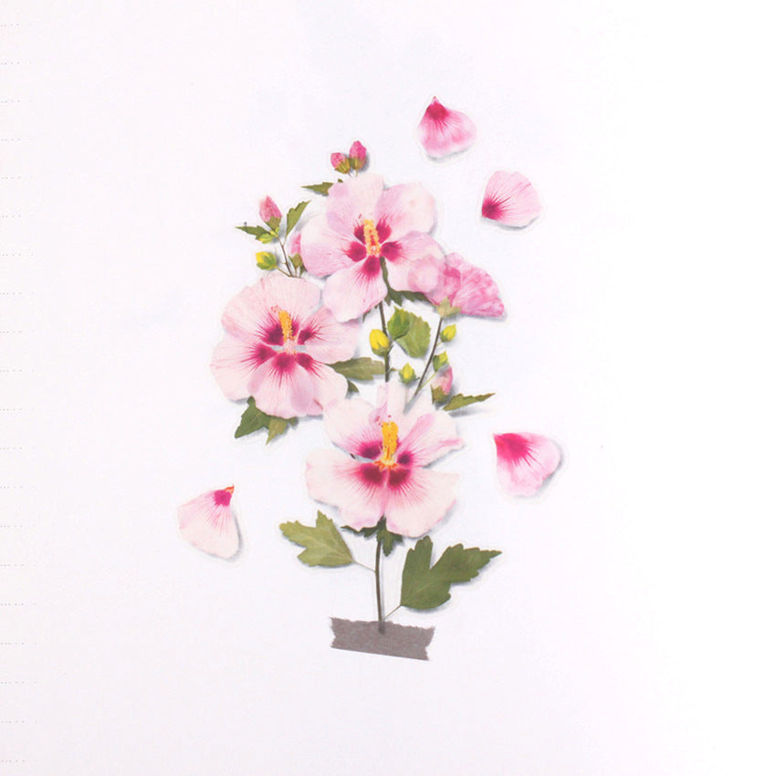 Appree Pressed Flower Stickers - Apple Blossom - APS-034