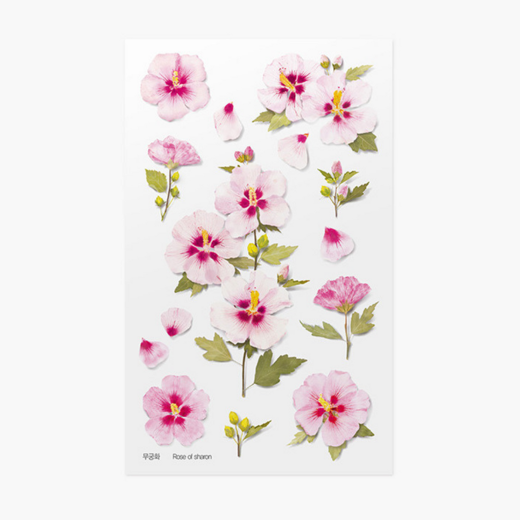 Appree Pressed Flower Stickers - Rose of Sharon