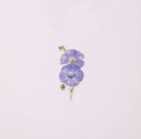Appree Pressed Flower Stickers - Flax