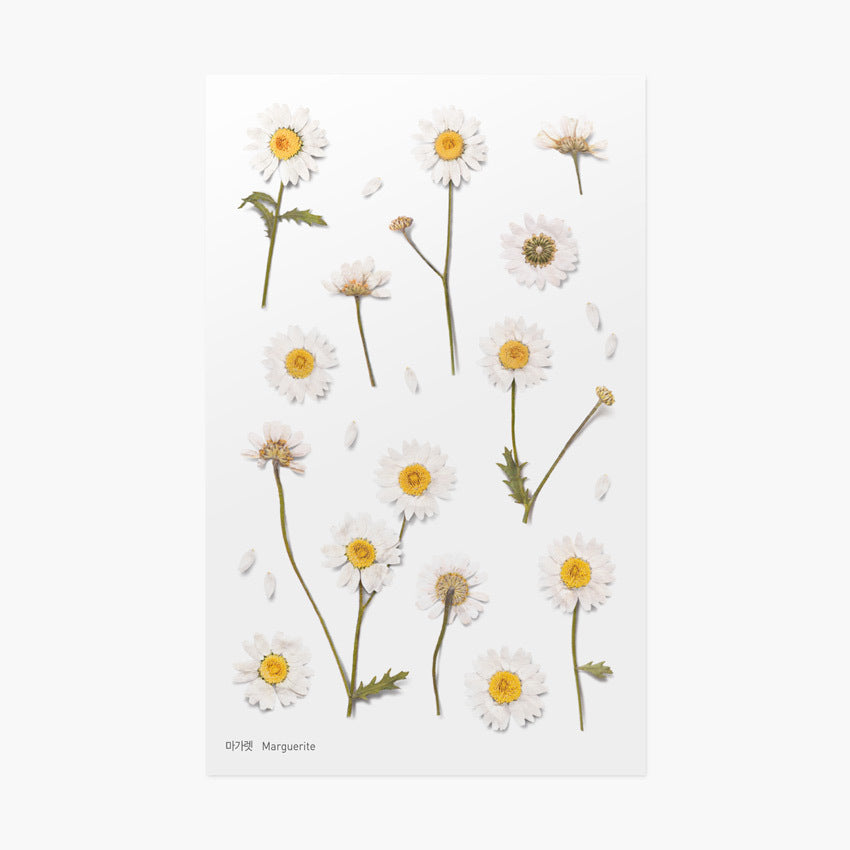 Appree Pressed Flower Stickers - Daisy