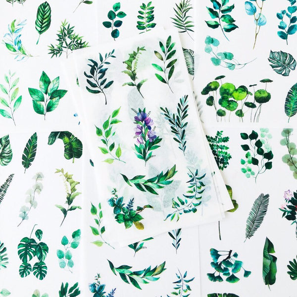 Green Nature Stickers - 6 Sheets