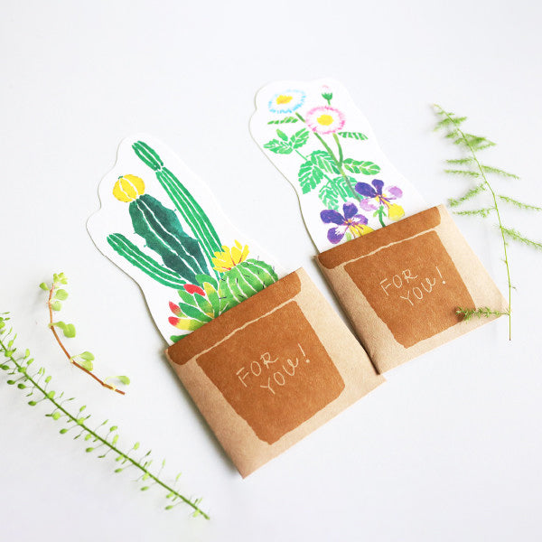 Koniwa Message Card - Succulents