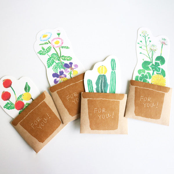 Koniwa Message Card - Succulents