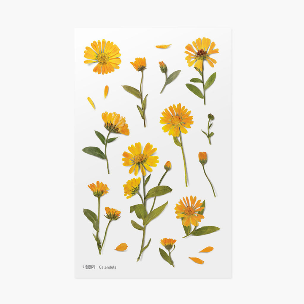 Appree Pressed Flower Stickers - Apple Blossom - APS-034