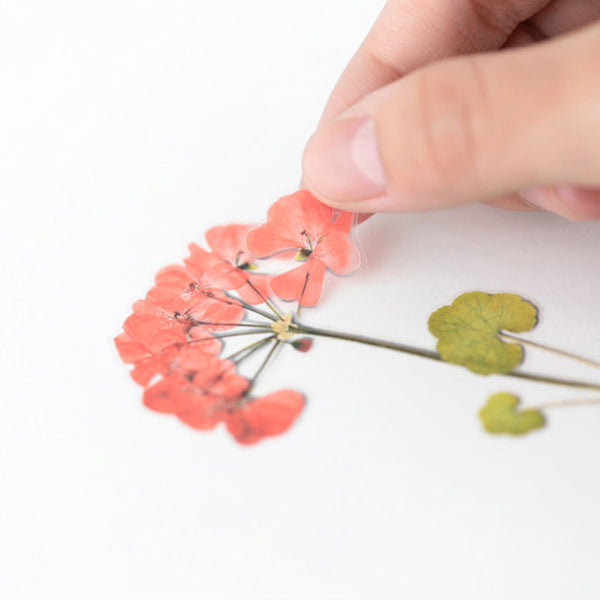 Appree Pressed Flower Stickers - Geranium