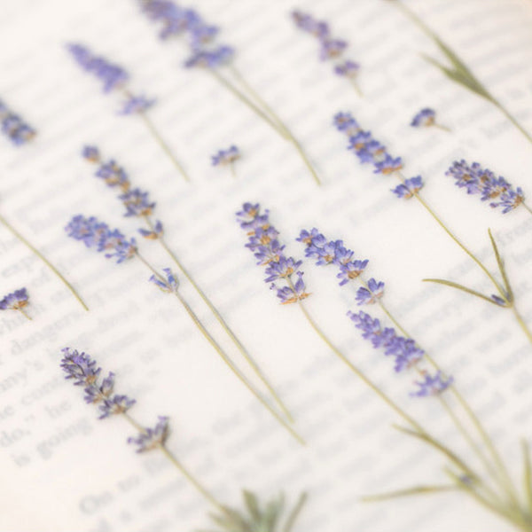 Appree Pressed Flower Stickers - Lavender