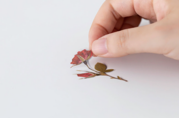 Appree Pressed Flower Stickers - Mini Rose